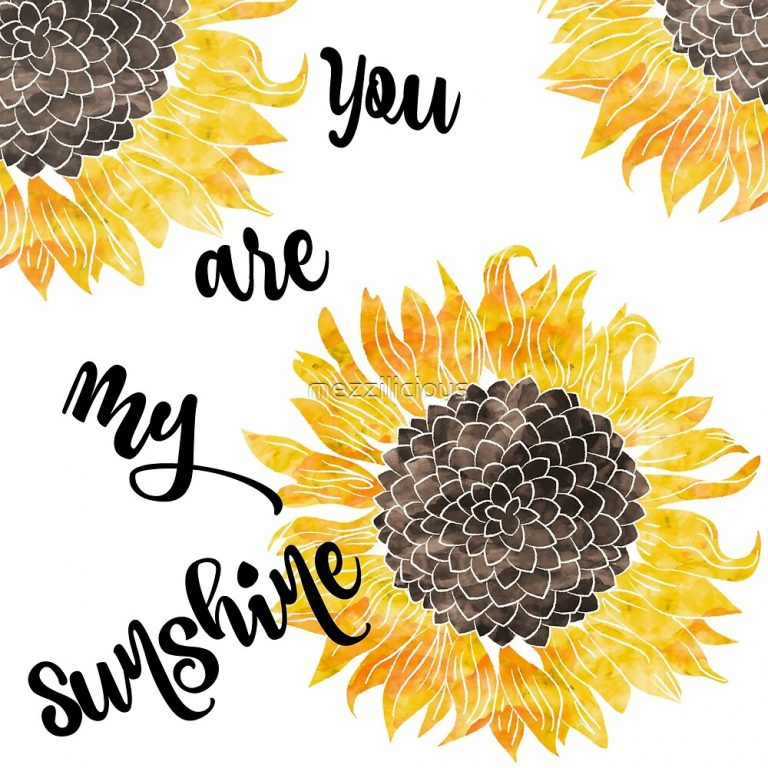 You Are My Sunshine RedBubble